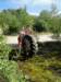 2011HWK 389_small.jpg